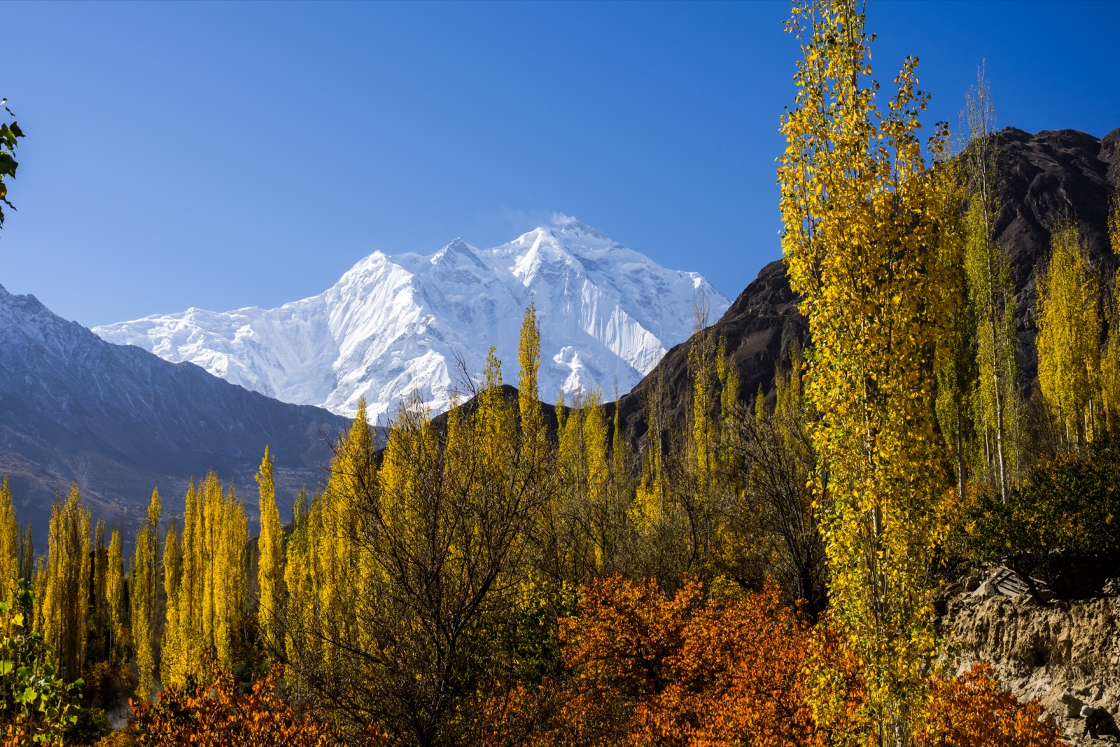 Rakaposhi above autumn colours in the Hunza Valley