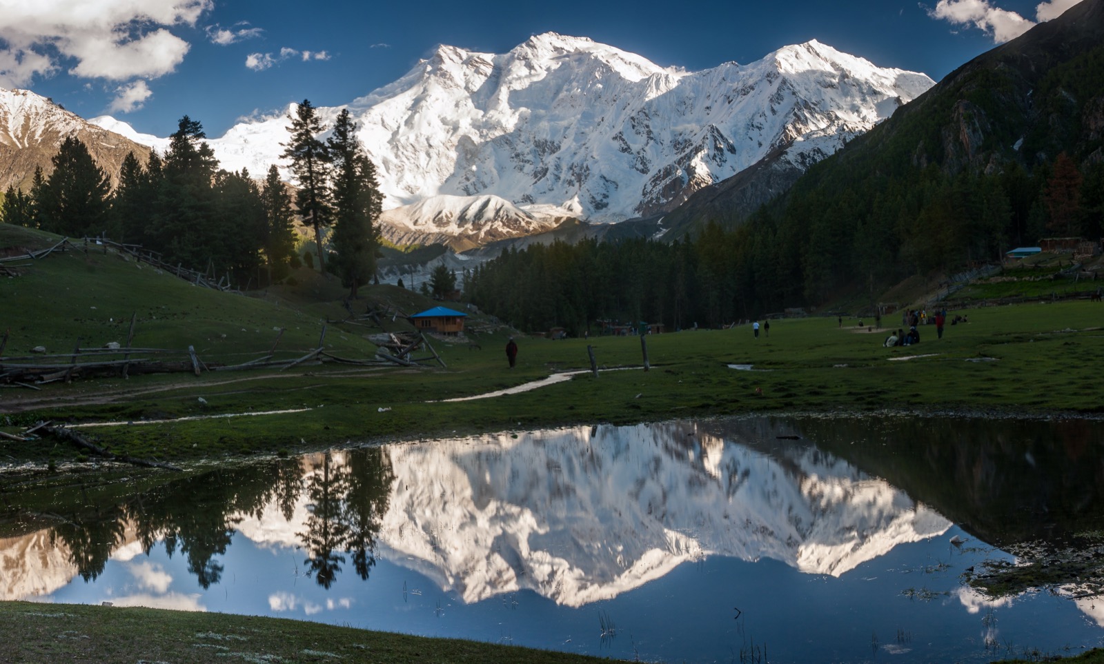 Green meadows of Fairy Meadows below snow peaks