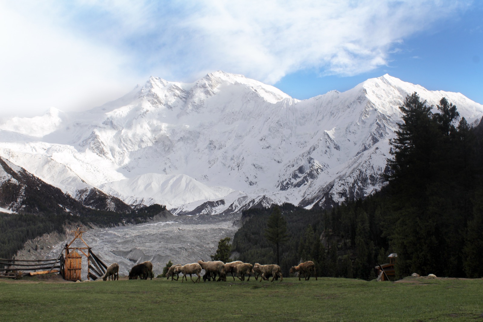 Nanga Parbat seen from Fairy Meadows