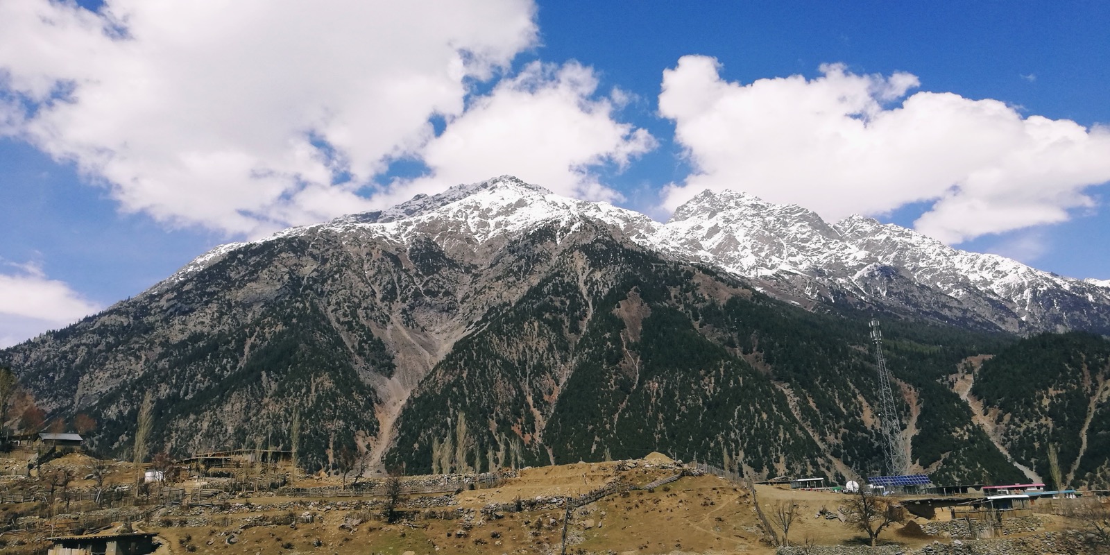 Utror Valley near Kalam, Swat, with green meadows and pine forest
