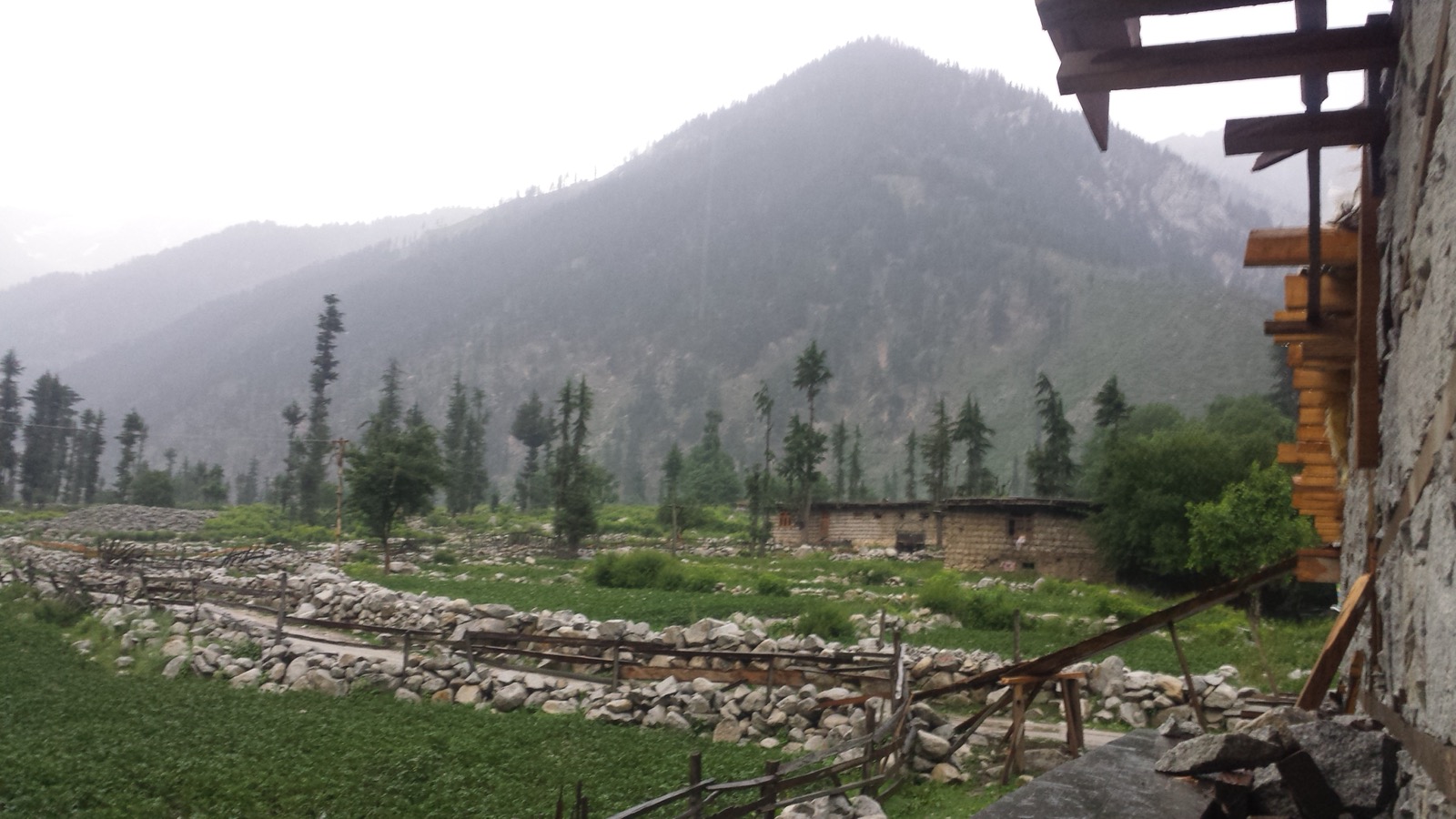 Pine forest and river in Kumrat Valley