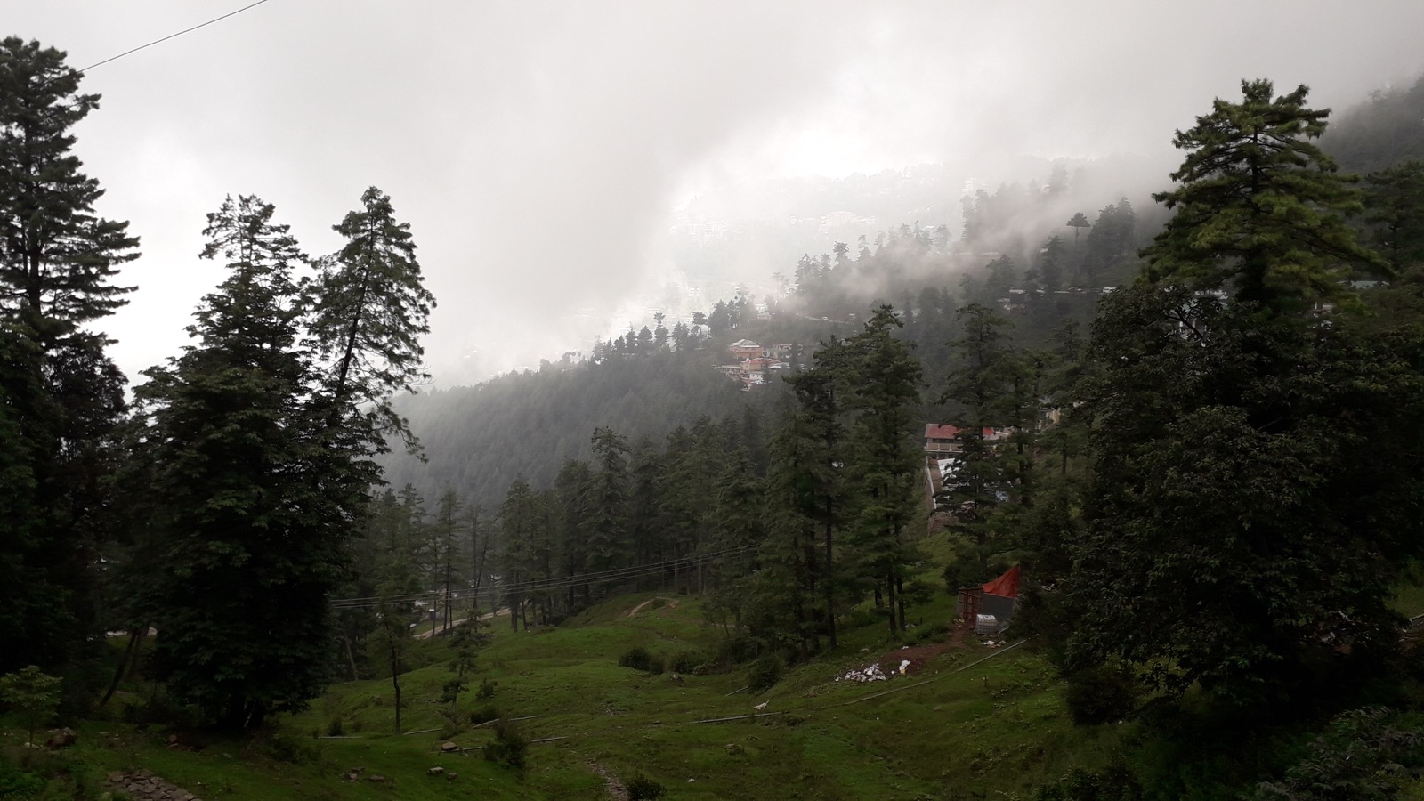 Forested hills at Nathia Gali