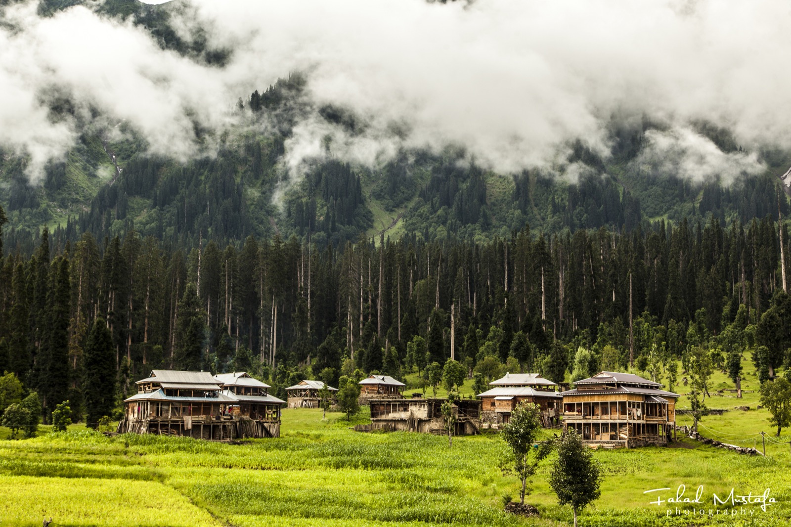 The green village of Arang Kel above Neelum Valley