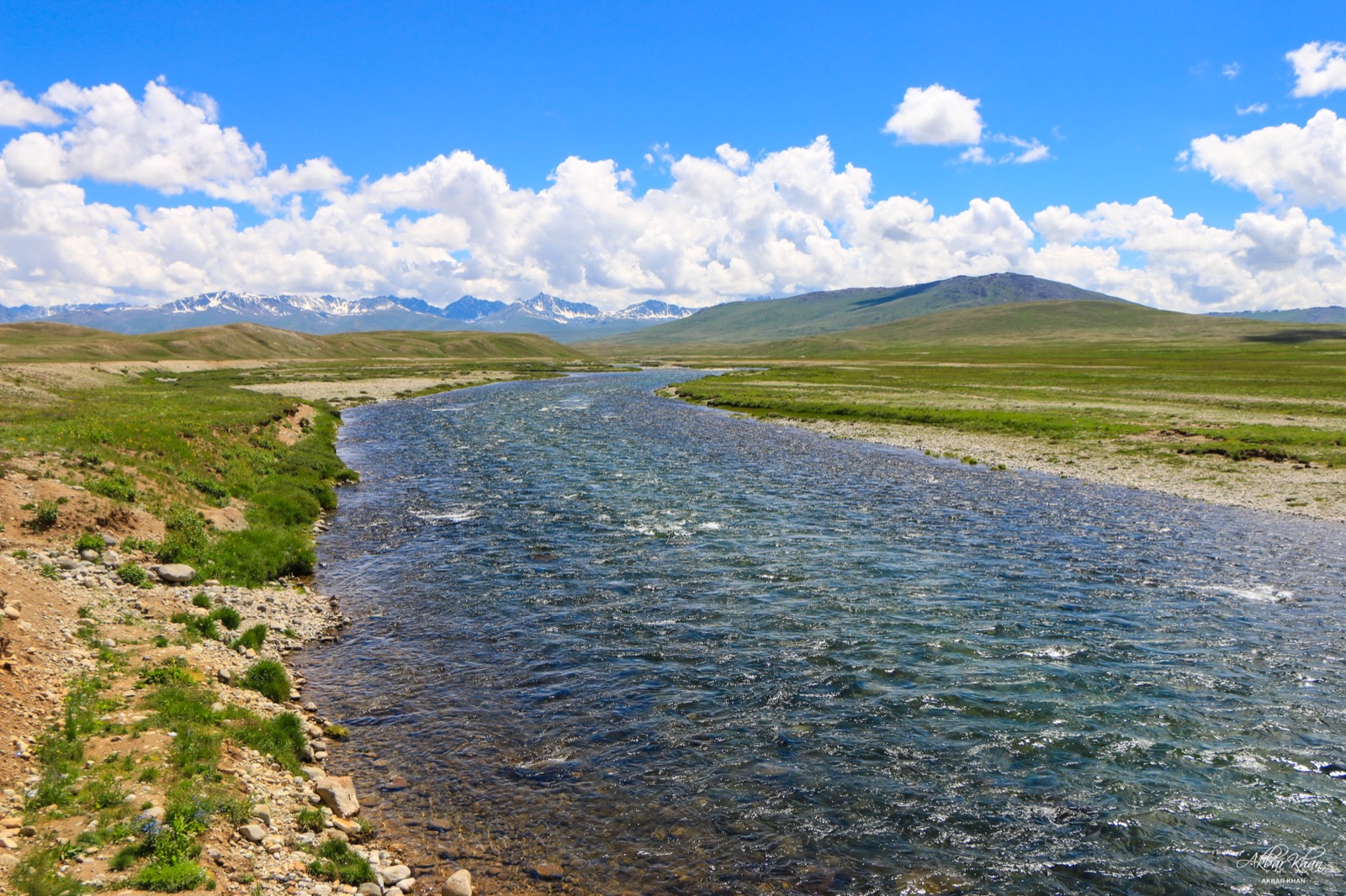 Bara Pani stream on the Deosai Plains