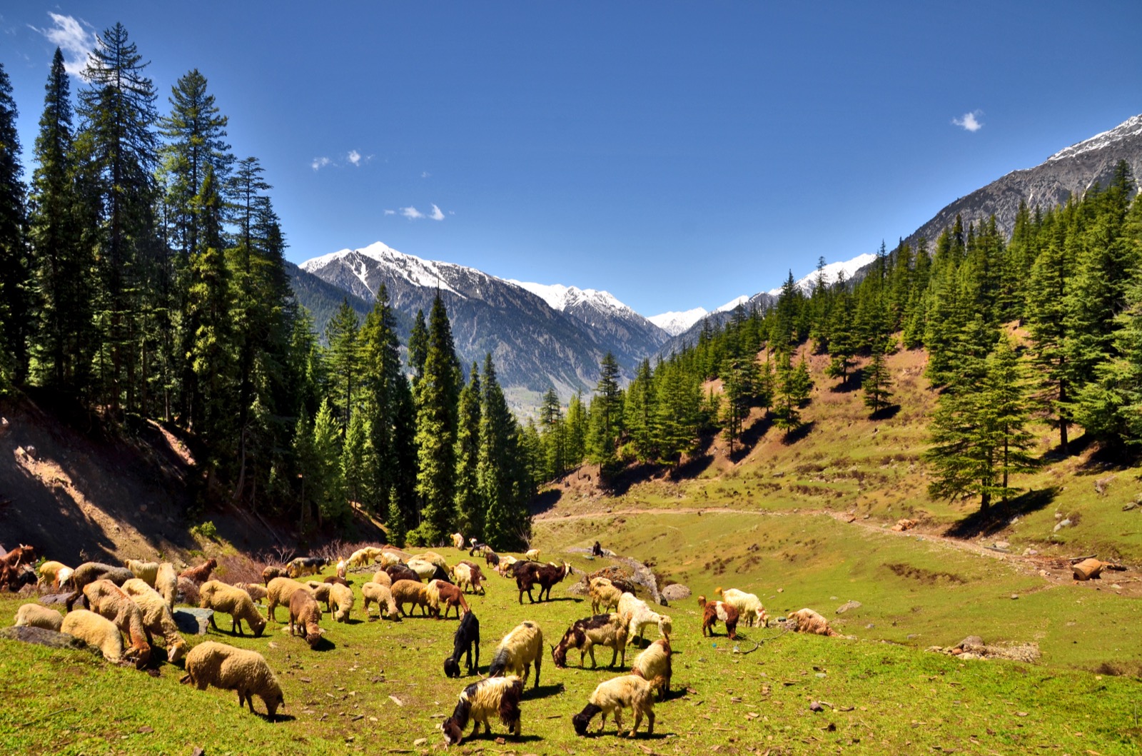 The Utror valley above Kalam
